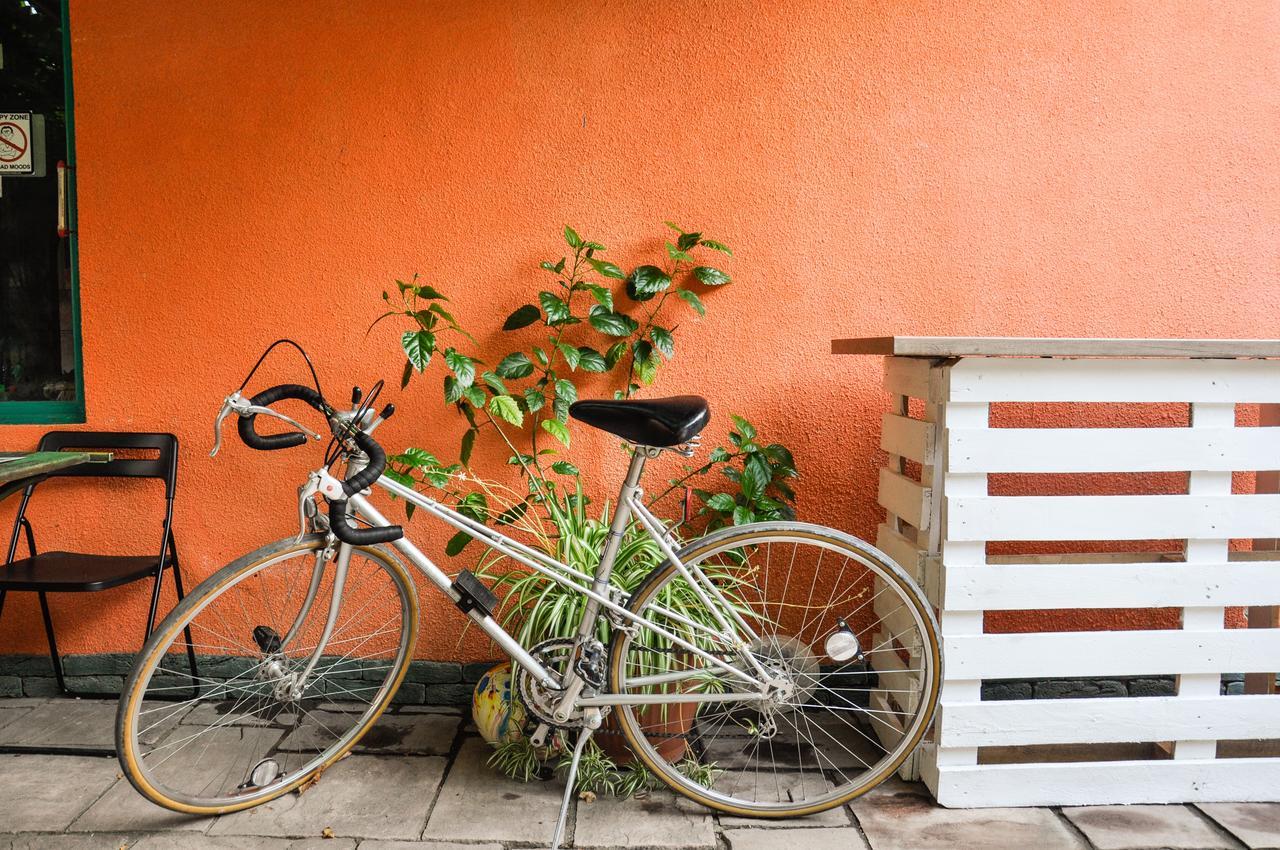 Funky Mamaliga Hostel Chişinǎu Buitenkant foto